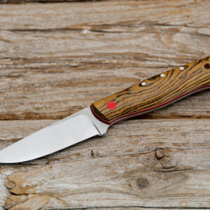 Skink - Bocote